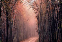 中央经济工作会议重申“稳住楼市” 释放更强烈信号